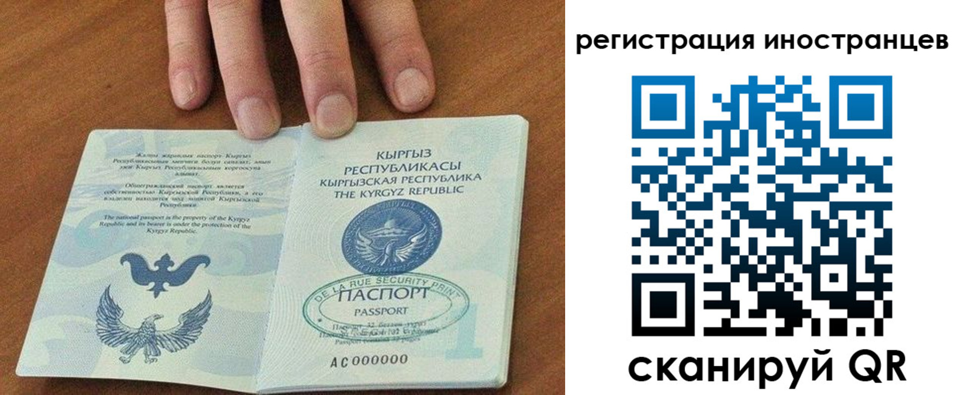 временная регистрация 2025 в Димитровграде